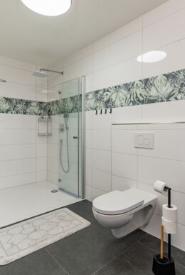 Innenaufnahme Zimmer mit Dusche, Waschbecken und Toilette