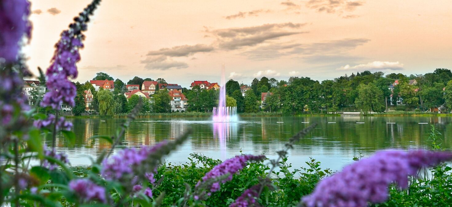 Landschaftsaufnahme mit Burgsee Bad Salzungen, bunt beleuchteter Fontäne und Blumen im Vordergrund