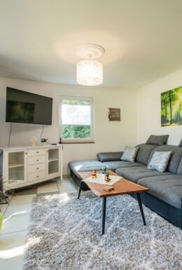 Innenaufnahme Zimmer mit Sofa und TV