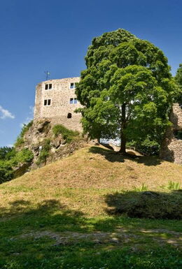 Landschaftsaufnahme mit Blick auf die Burgruine