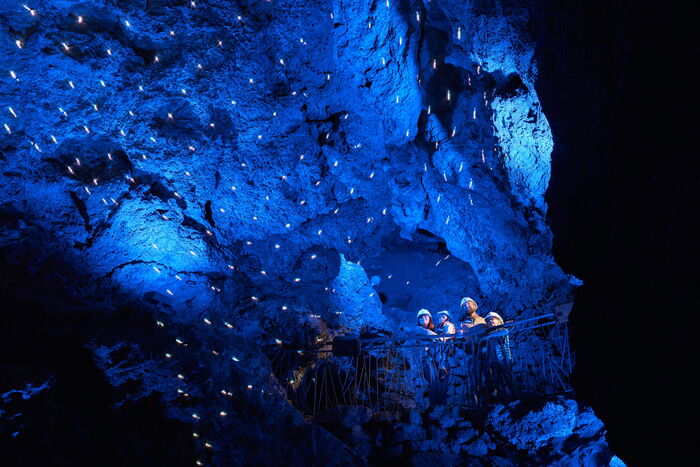 Familie mit zwei Kindern steht auf der Musikempore und bestaunt die Licht- und Klanginstallation